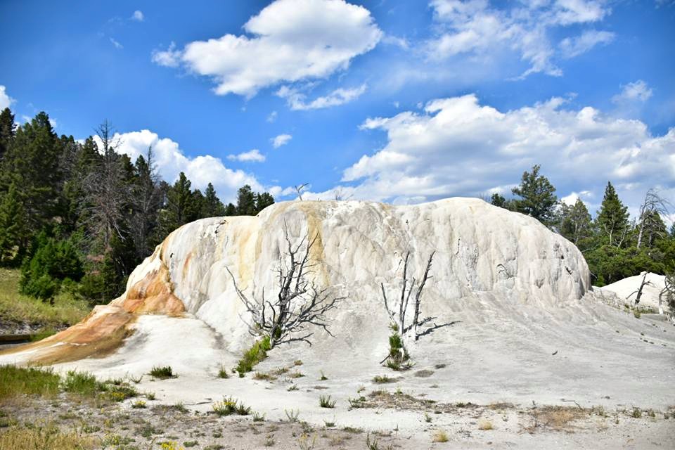 Yellowstone National Park_莊宜靜 (3)到了現場才知道明信片上的美景都是真實的!-16